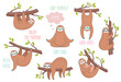 Set of cute hand drawn sloths hanging on the tree. Lazy animal characters.