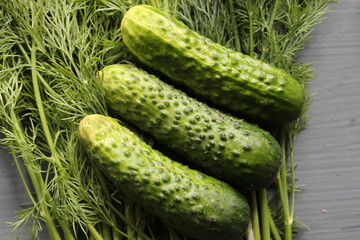 Three green fresh cucumbers and dill isolated close-up on a wooden table