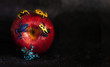 apple with five dendrobates