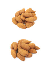 Sticker - Pile of almond nuts isolated