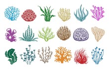 Seaweeds And Corals On White. Colored Aquarium Plants Vector Illustration, Color Underwater Sea Weeds And Ocean Coral Icons
