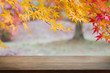 © bunditinay - Empty wood table top and blurred autumn tree and red leaf background - can used for display or montage your products.