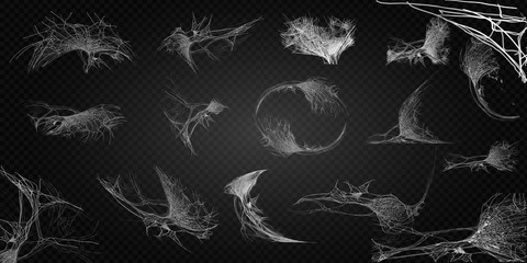 collection of cobweb, isolated on black, transparent background. spiderweb for halloween design. spi
