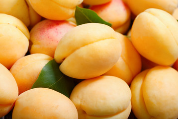 Wall Mural - fresh apricots as background