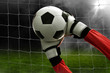 © fotokitas - Soccer goalkeeper catches the ball