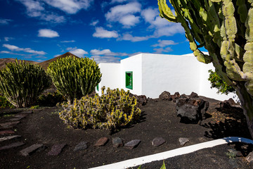 Street view of beautiful residential white stone garden house surrounded by black volcanic soil and huge cactuses with patio and great blue spring sky with white clouds, Lanzarote,Canary Islands,Spain