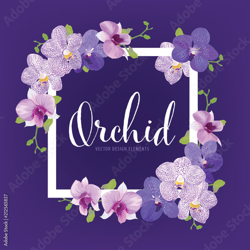 Fotografía Floral frame with tropical orchid flowers on purple background template