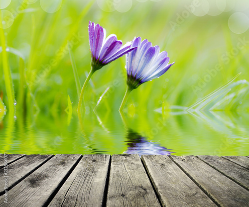 flores entre la hierba