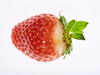 Fresh, beautiful, large strawberry berries photographed in macro close-up on white background