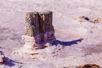 Pink salt lake