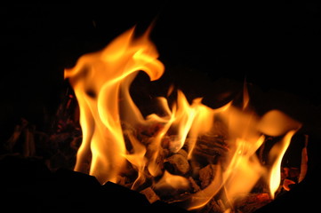 fire campfire on a dark background