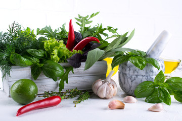 Fresh kitchen herbs and spices, oil  with a white ceramic mortar. Basil dill salad sage arugulagarlic chili pepper