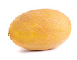 © Kabardins photo - Melon nature fruit on white background isolation