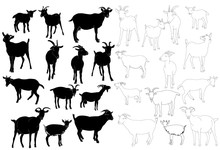 Isolated Set Of Goat Silhouettes, Outline Of Goat
