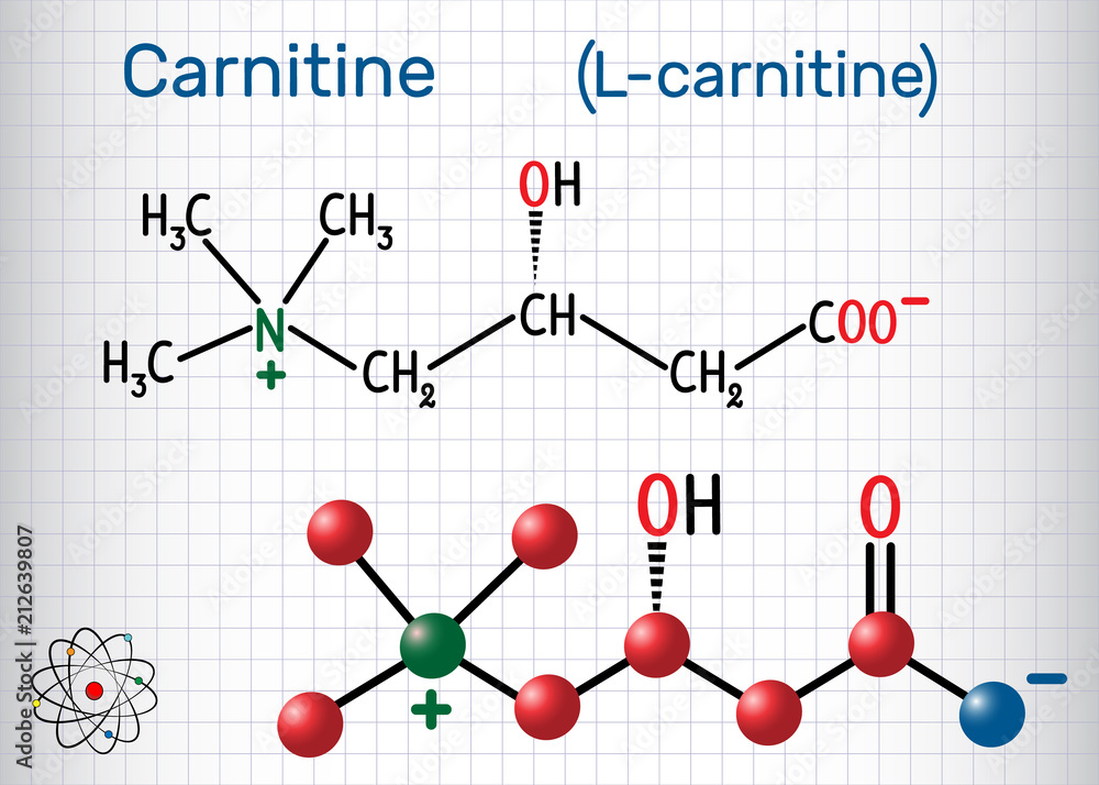acetyl-l-carnitine molecule Carnitine (L-carnitine) molecule. Structural chemical formula and model. Sheet of paper in a cage Stock Vector Style:Poudre Nutricost Glutathione Capsules 500mg, Indicaties>>Concentratie