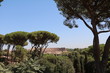© ClaraNila - View from Palatine Hill to the Colosseum or Coliseum in Rome, Italy