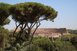 © ClaraNila - View to the Colosseum  from Palatine Hill in Rome, Italy