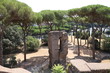© ClaraNila - Palatine Hill in Rome, Italy