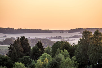 Wall Mural - Baumgrundstück