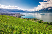 Panorama View Of Montreux City With Swiss Alps, Lake Geneva And Vineyard On Lavaux Region, Canton Vaud, Switzerland, Europe