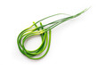 Isolated garlic scapes. Curved chives. Healthy green vegan food. Top view.