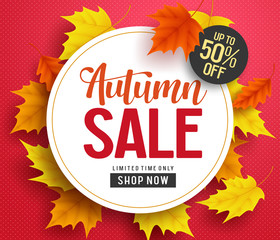 Wall Mural - Autumn sale vector background banner template with white circle space for text and maple leaves elements for fall seasonal discount promotion. Vector illustration.
