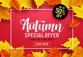 Wall Mural - autumn vector banner template with special offer text, maple leaves and white frame in red backgroun