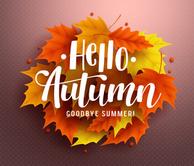 Wall Mural - Hello autumn vector background design with autumn typography and maple leaves in textured background for fall season greetings design. Vector illustration.
