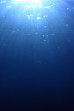 Fototapeta Do akwarium - Underwater ocean background  