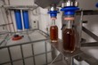 © Wavebreak Media - Gin being filled in bottles