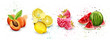 Watercolor fruits set Vector. Apricot, lemon, raspberry, watermelon delicious illustrations