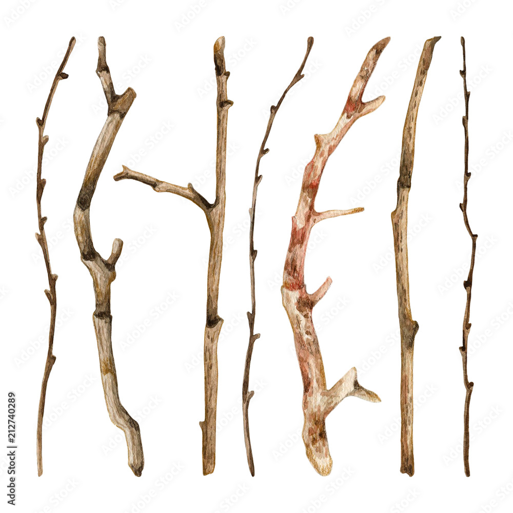 watercolor tree branches drawing