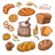 Cartoon bread, fresh bakery product, flour, ears of wheat. Hand drawn vector set isolated on white background
