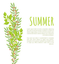Summer Poster Green Branches Leaves And Berries