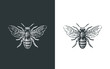 Honey bee logo. Hand drawn engraving style illustrations.