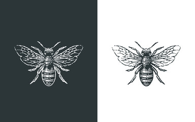 honey bee logo. hand drawn engraving style illustrations.