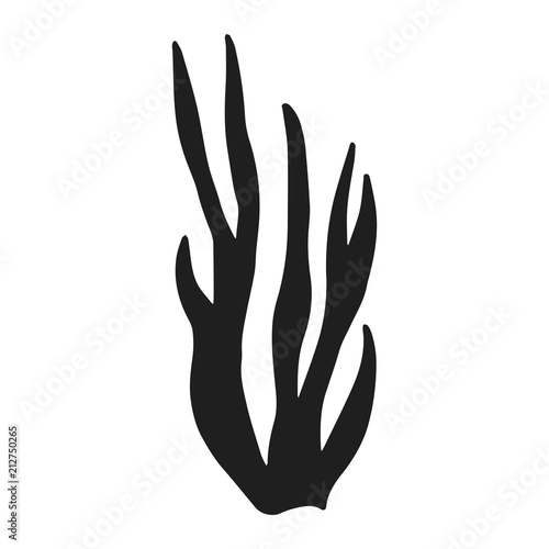 Algae Silhouette Hand Drawing Vector Marine Plants Buy This