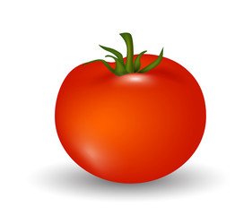 Tomato isolated on white background