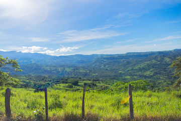 landscape, threes, green, sky, sun