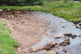 Fototapeta Sawanna - Artificial crossing over the stones through the boggy mountain river.