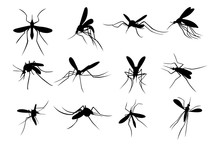 Set Of Mosquito Silhouette Logo Template Design Vector, Emblem, Design Concept, Creative Symbol, Icon