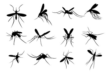 Set of Mosquito Silhouette Logo Template Design Vector, Emblem, Design Concept, Creative Symbol, Icon