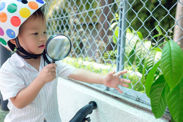 Wall Mural - Cute Asian 2 years old toddler boy child with bike exploring environment by looking through magnifying glass in sunny day, little kid reach out to green plant, Discovery nature with toddler concept