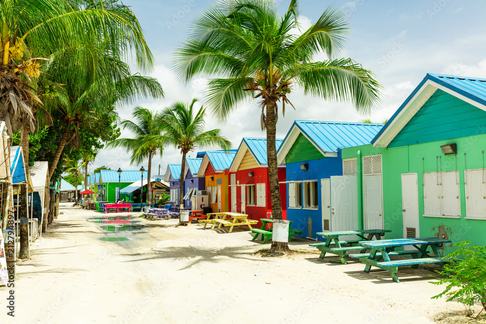 Colourful houses on the tropical island of Barbados - obrazy, fototapety, plakaty 