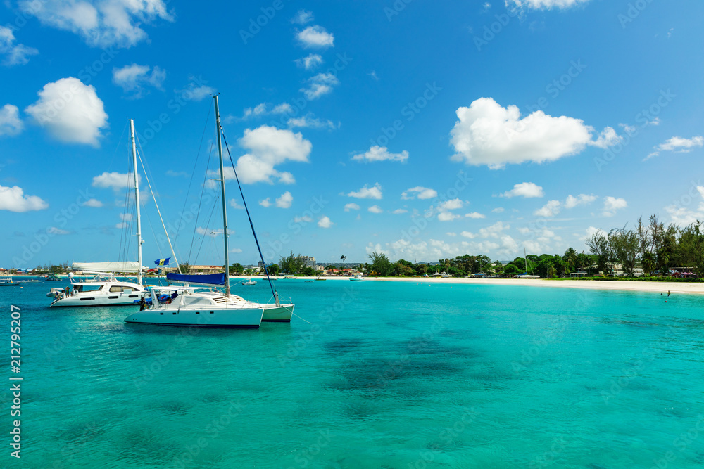 Catamarans on the sunny tropical Caribbean island of Barbados - obrazy, fototapety, plakaty 