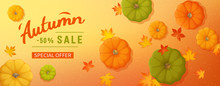 Discount, Sale In Autumn. Horizontal Banner Flyer With Yellow, Green, Orange Pumpkins, Maple Leaves On A Colored Background. Special Seasonal Offer.  Vector Illustration. Top View 