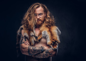 Wall Mural - Naked tattoed redhead hipster male with long luxuriant hair and full beard posing with the fox skins on his shoulders in a studio. Isolated on a dark background.