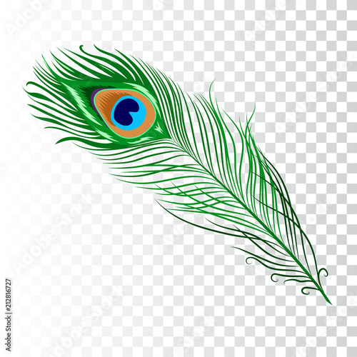 peacock feather collection Wall Mural | WallsHeaven | Татьяна Зазулина