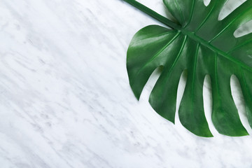 Wall Mural - Beautiful dark Monstera leaf on marble background