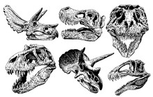 Graphical Set Of Dinosaur Skulls Isolated On White Background,vector Sketchy Illustration For Tattoo 